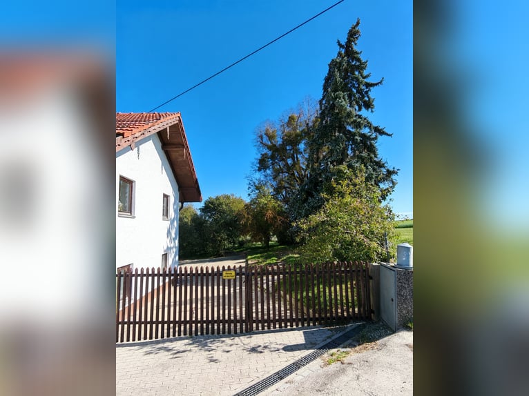 Élevage de chevaux - Ferme agricole à l'est de Munich