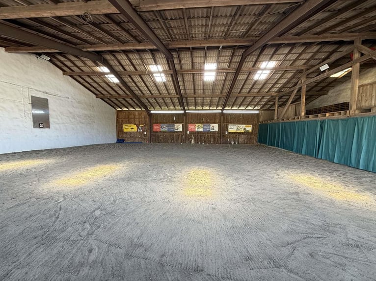Élevage équestre exclusif avec centre équestre et maison multifamiliale – un parfait mélange de rent