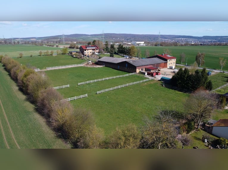 Élevage équestre exclusif avec centre équestre et maison multifamiliale – un parfait mélange de rent