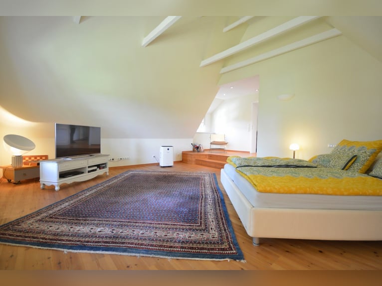 Élevage équestre sur 5,7 hectares ! Propriété de rêve avec une maison en chaume, une maison d'hôtes 