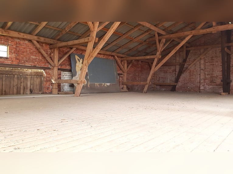 Élevage équestre sur 5,7 hectares ! Propriété de rêve avec une maison en chaume, une maison d'hôtes 