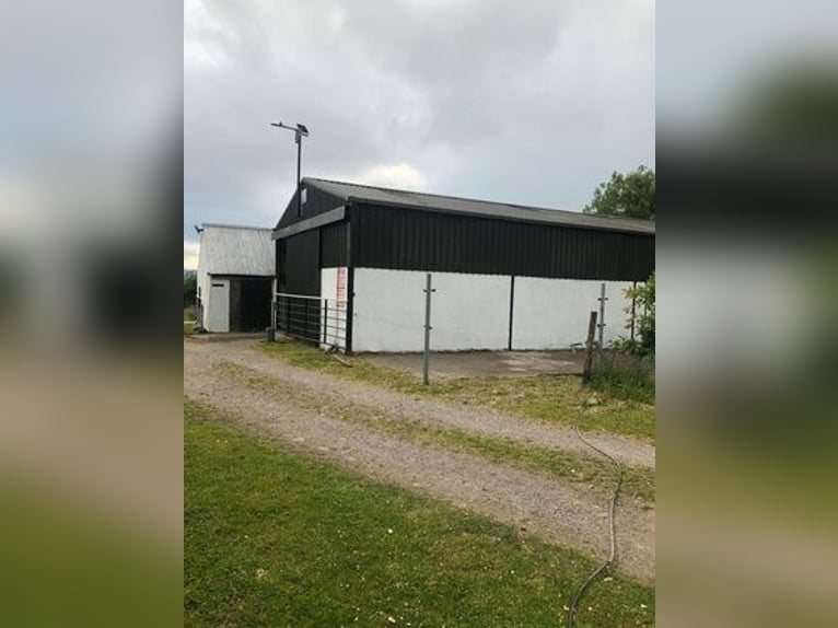 Equestrian Centres for sale in Mallow