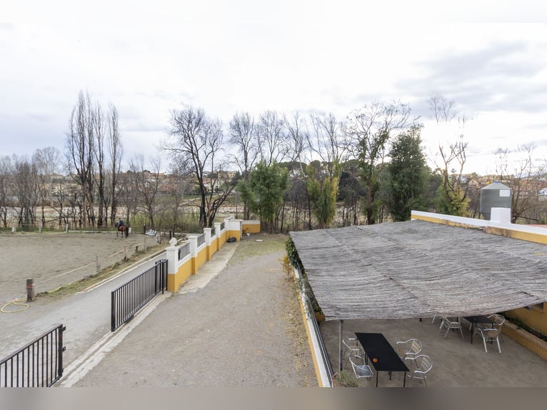Équitation et chalet à vendre près de Valence