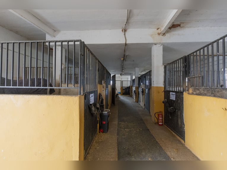 Équitation et chalet à vendre près de Valence