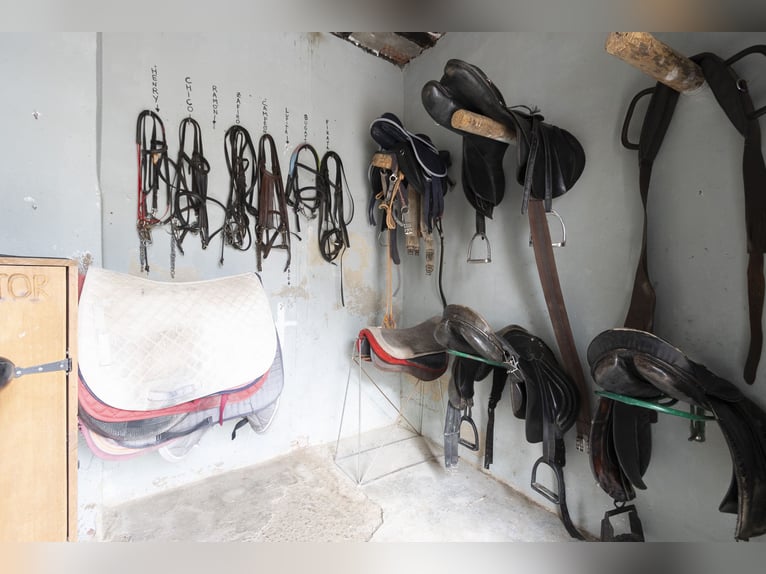 Équitation et chalet à vendre près de Valence
