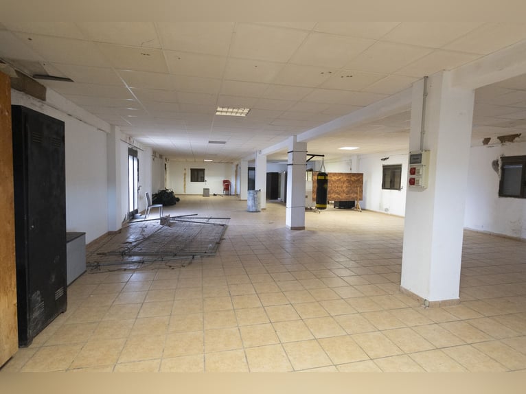 Équitation et chalet à vendre près de Valence