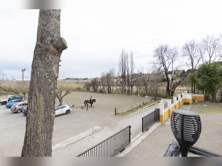 Équitation et chalet à vendre près de Valence