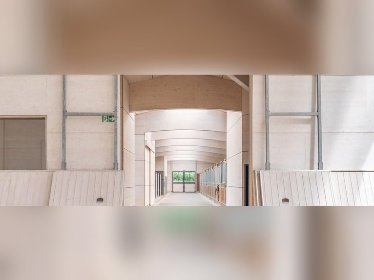 Est de la Suisse orientale - Domaine équestre exclusif avec villa méditerranéenne et vaste propriété