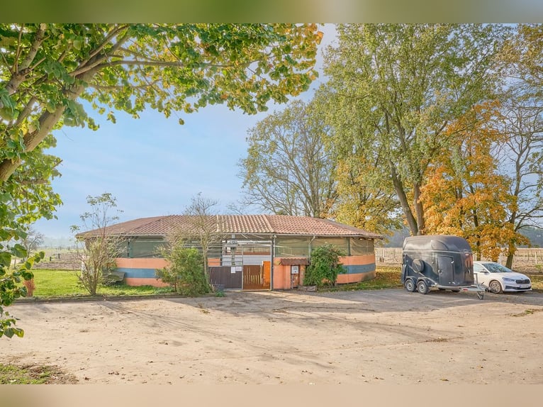 Établissement équestre à vendre près de Berlin – Capacité pour près de 100 chevaux dans le district 