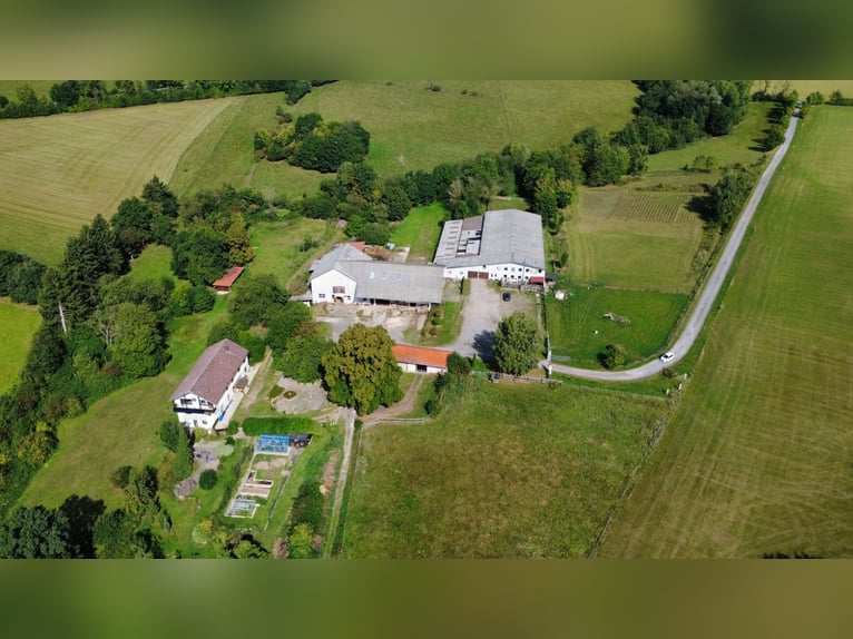 Établissement équestre dans la région de Harz à Bad Sachsa – Grande ferme d’élevage isolée avec manè