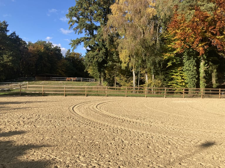 Établissement équestre en situation idyllique en pleine campagne, au nord-est de Munich