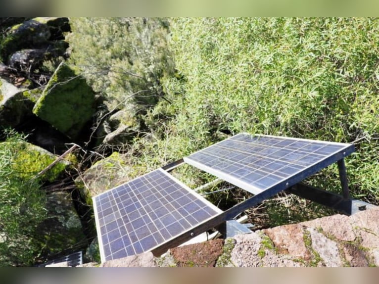 Excellente ferme de chasse et d’élevage de bétail.