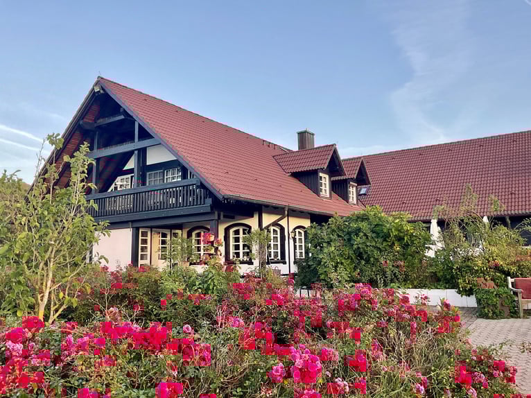 EXKLUSIVE REITANLAGE IM NECKAR-ODENWALD-KREIS - Objekt Nr. 385-25