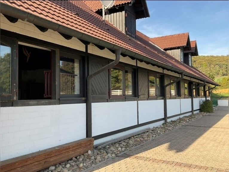 EXKLUSIVE REITANLAGE IM NECKAR-ODENWALD-KREIS - Objekt Nr. 385-25