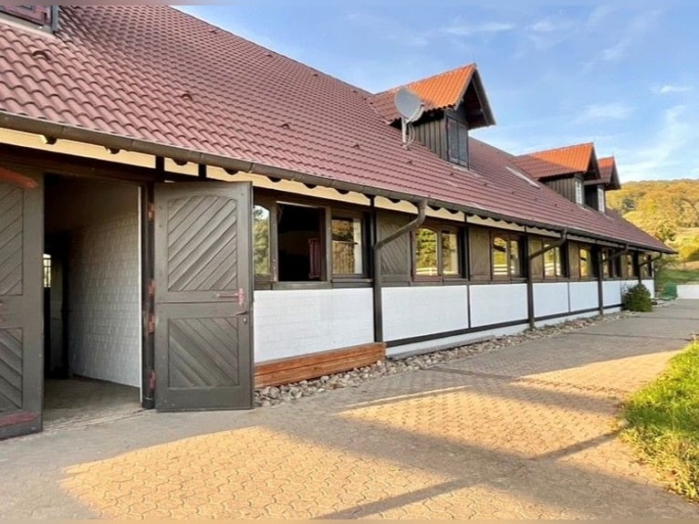 EXKLUSIVE REITANLAGE IM NECKAR-ODENWALD-KREIS - Objekt Nr. 385-25