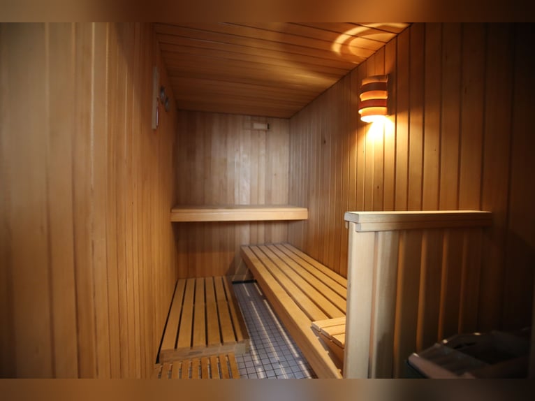EXKLUSIVE REITANLAGE IM NECKAR-ODENWALD-KREIS - Objekt Nr. 385-25