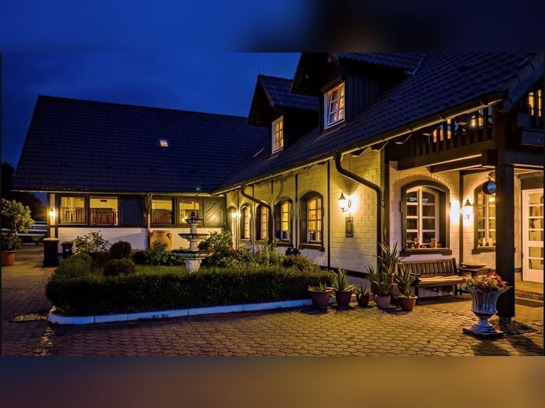 EXKLUSIVE REITANLAGE IM NECKAR-ODENWALD-KREIS - Objekt Nr. 385-25