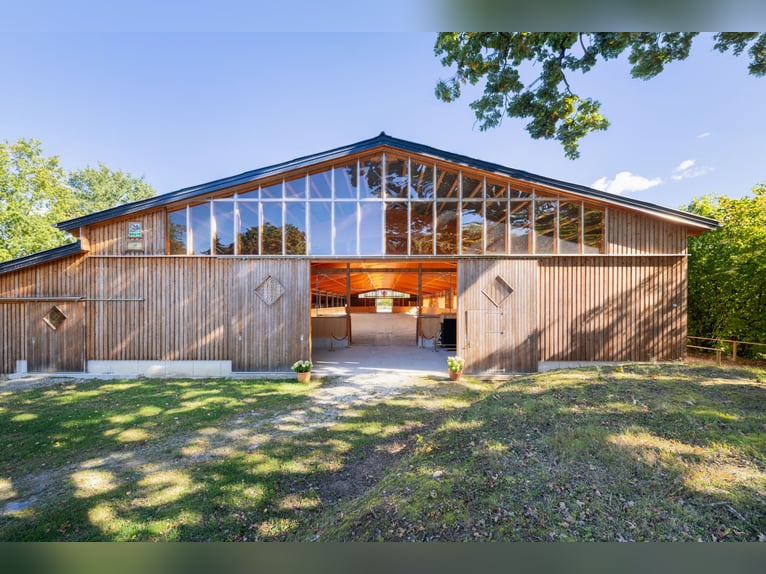 Exklusives Reitsportanwesen nahe Hamburg - 43 Hektar & neue Reithalle!