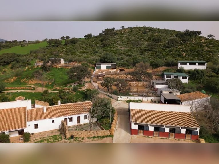 Exploitation agricole à vendre
