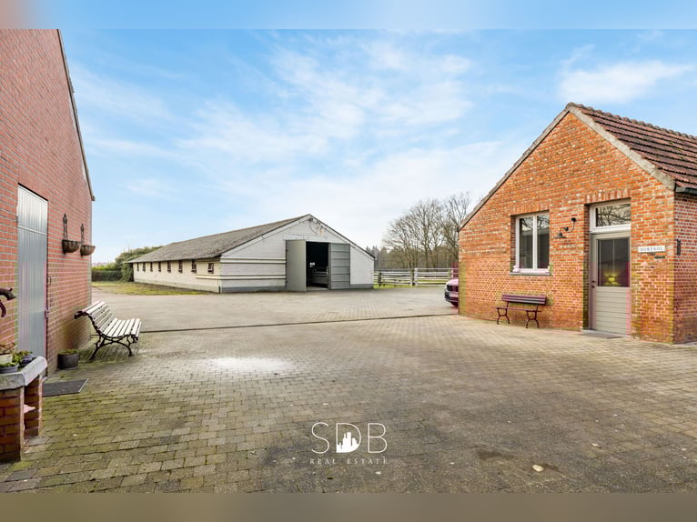 Ferme authentique avec plusieurs dépendances et prairies sur 9,3155 hectares – 2300 Turnhout