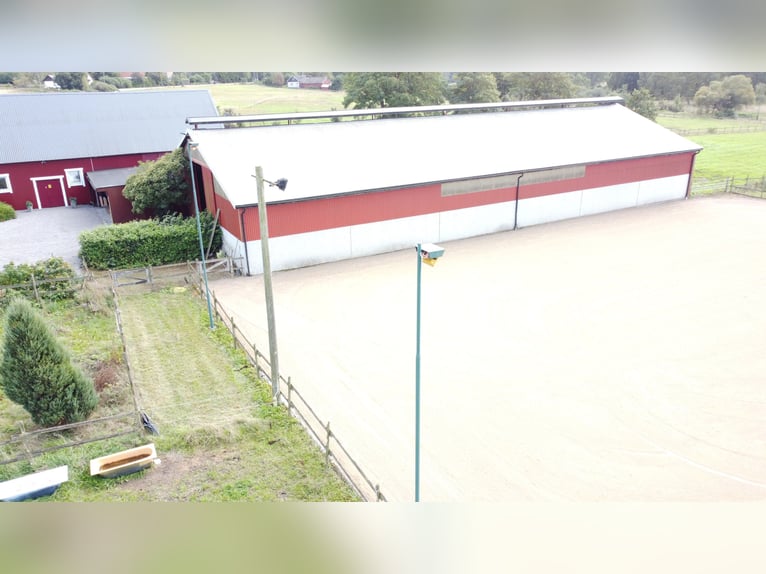 Ferme de 33 hectares dans le sud de la Suède