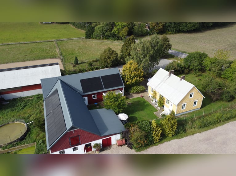 Ferme de 33 hectares dans le sud de la Suède