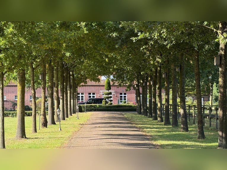 Ferme de prestige avec maison d'hôtes, grande grange et écurie pour chevaux