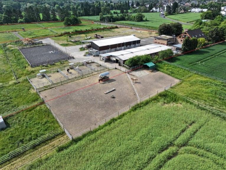 Ferme d'élevage isolée, située dans un cadre paysager pittoresque !