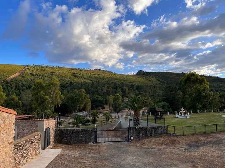 Ferme destinée à la détente et à la chasse au gros gibier.