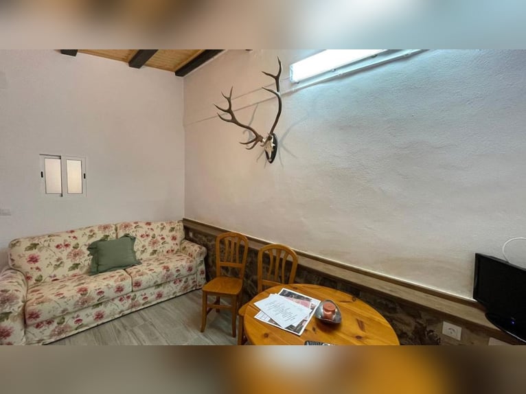 Ferme destinée à la détente et à la chasse au gros gibier.