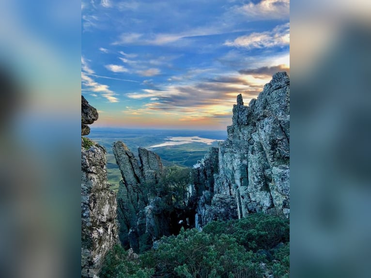 Ferme destinée à la détente et à la chasse au gros gibier.