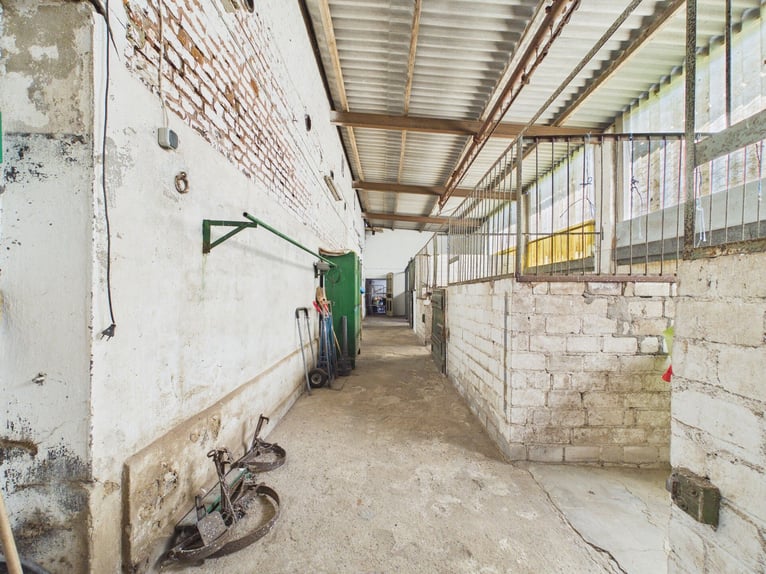 Ferme en quadrilatère à Erftstadt – propriété rurale pittoresque avec possibilité d'élevage de cheva