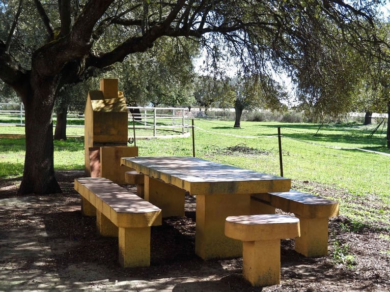 Ferme entièrement équipée pour chevaux – 24 hectares – Cáceres