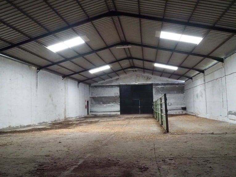 Ferme entièrement équipée pour chevaux – 24 hectares – Cáceres