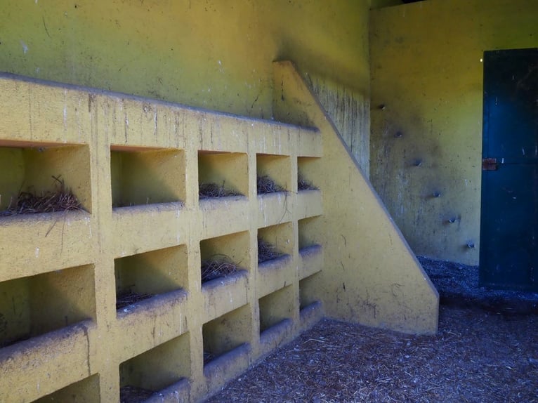 Ferme entièrement équipée pour chevaux – 24 hectares – Cáceres