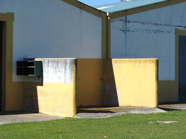 Ferme entièrement équipée pour chevaux – 24 hectares – Cáceres