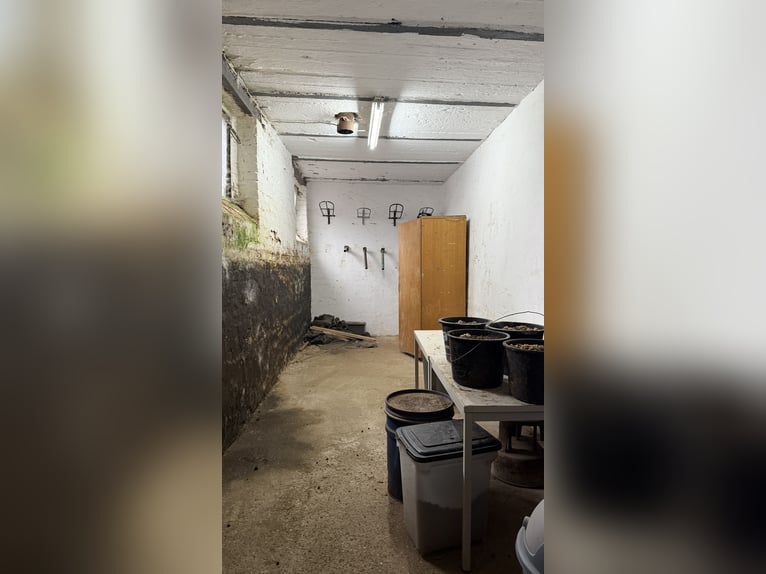 Ferme équestre avec manège, installations pour l’élevage et vastes terrains en location à Linnich