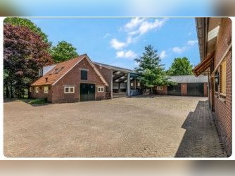 Ferme équestre idyllique à Kootwijkerbroek, Veluwe, à vendre
