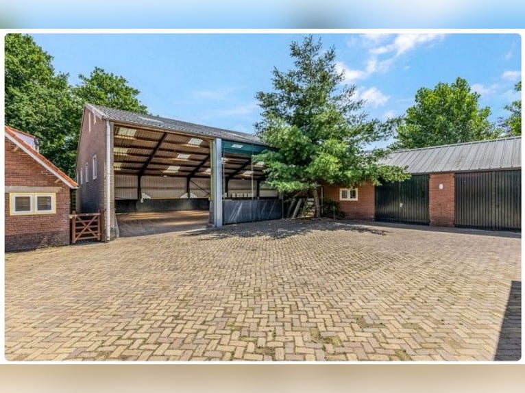 Ferme équestre idyllique à Kootwijkerbroek, Veluwe, à vendre