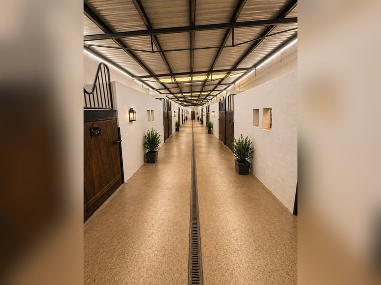 Ferme équestre située près de la mer