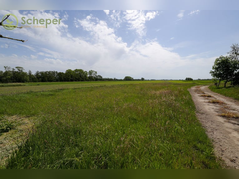 Ferme rénovée à Belum-Kehdingbruch avec prairie et, en option, 28 hectares de terres cultivables