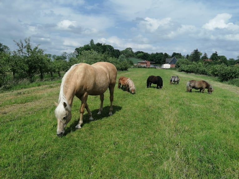 Ferme rénovée entièrement avec 3 hectares de terrain, manège et carrière.