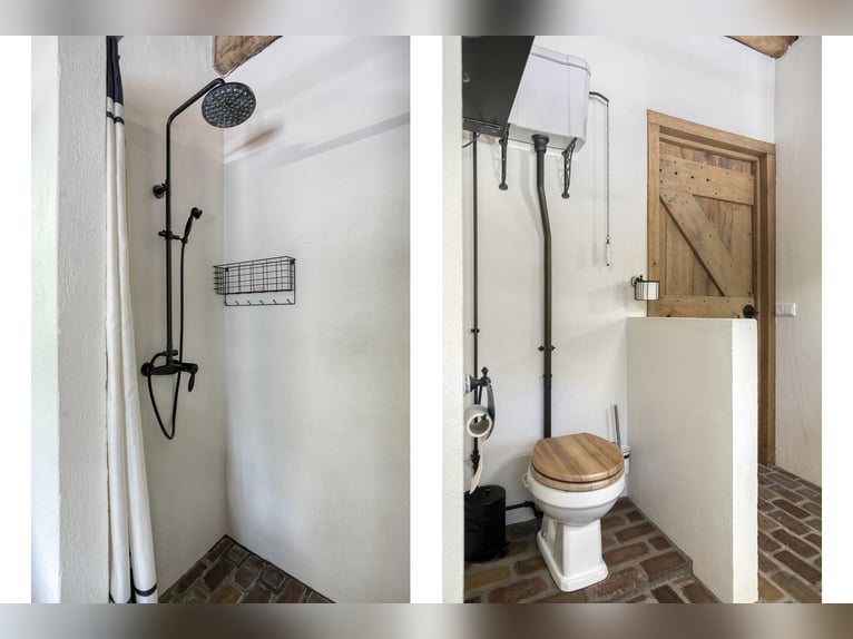 Ferme résidentielle avec installation équestre comprenant une carrière intérieure, une carrière exté