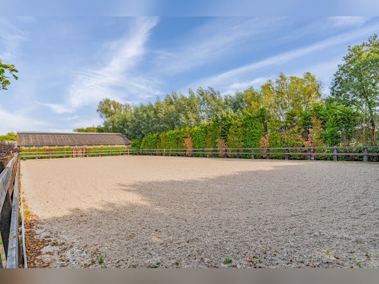 Ferme résidentielle avec installation équestre comprenant une carrière intérieure, une carrière exté