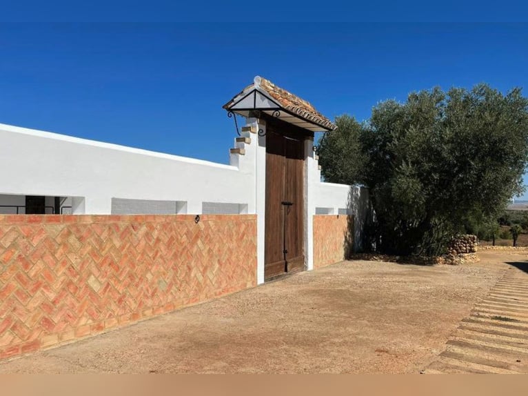 Finca De Ensueño De Más De 90 Ha Cerca De Sevilla