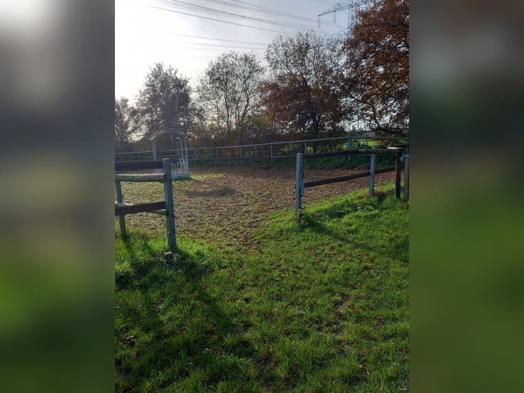 Freistehendes Traumhaus "Wohnen mit Pferden" in Schermbeck