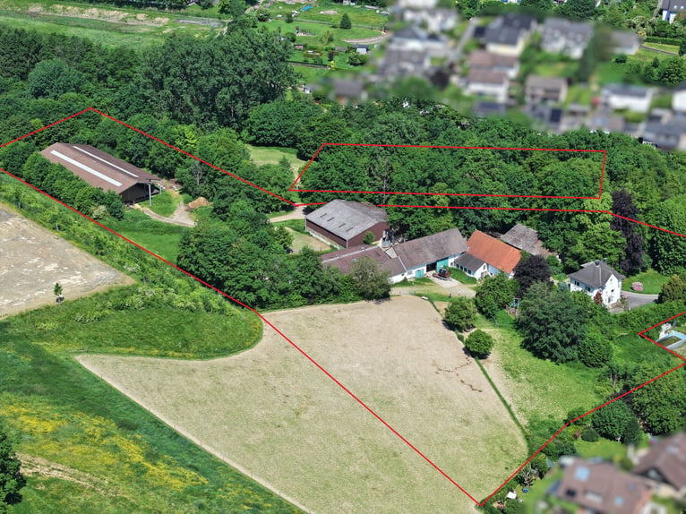 Grand domaine équestre spacieux en périphérie du village