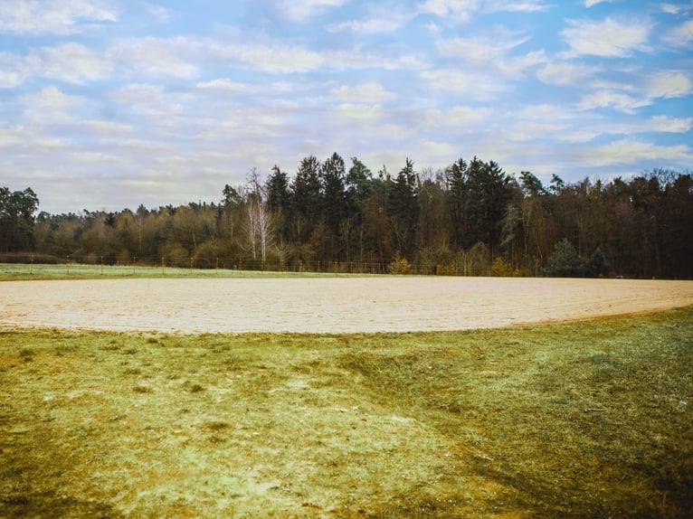 Grande installation équestre XXL pour le sport de haut niveau en Franconie V14177 – sans commission