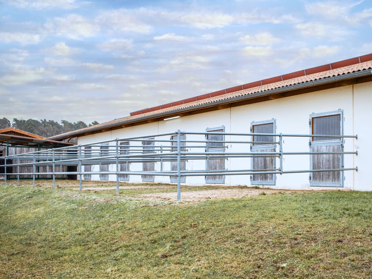 Grande installation équestre XXL pour le sport de haut niveau en Franconie V14177 – sans commission