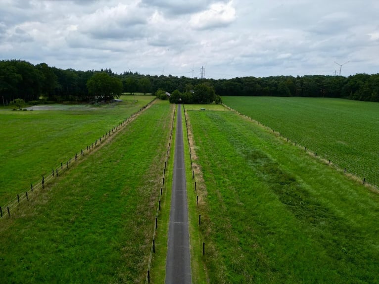 Grande maison de campagne avec élevage de chevaux, manège et un magnifique parc-jardin en situation